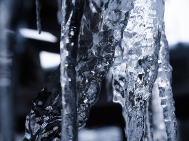 buz üzerinde saçak