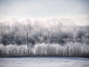 Buz kaplı tişört ve soğuk sis