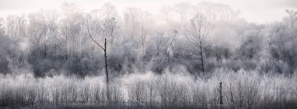 Buz Kaplı Tişört Soğuk Sis — Stok fotoğraf
