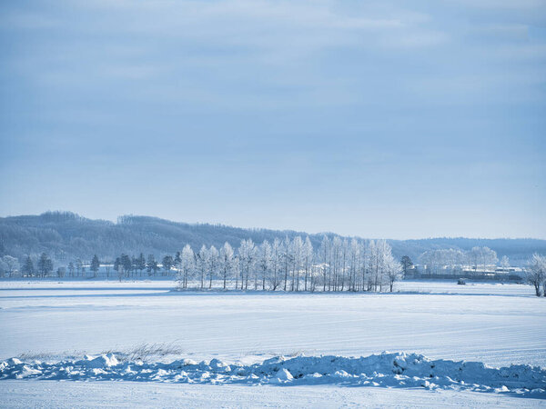 ландшафт зимой hokkaido Японии