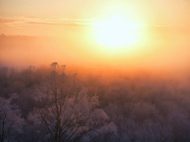 Kışın soğuk sis Hokkaido