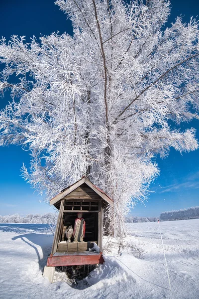 霜に覆われた日本の木と地蔵 — ストック写真