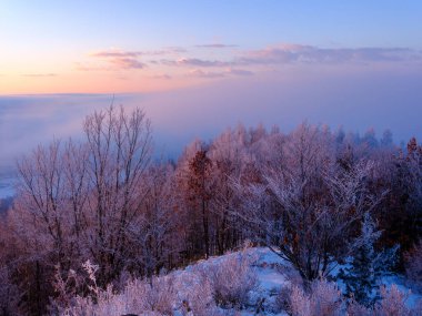 Kışın bulut denizi