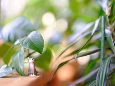 Schleich kedi figürünün fotoğrafını çek.