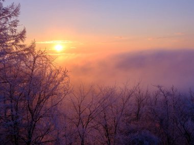 Kışın bulut denizi