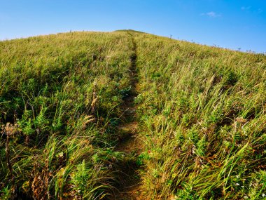 Cape Gorota Rebun Adası 'nda
