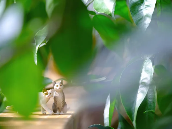Schleich Kedi Figürünün Fotoğrafını Çek — Stok fotoğraf