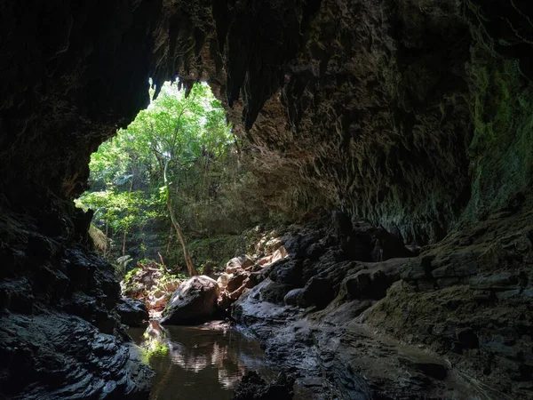 Kalksteengrot Het Eiland Iriomote — Stockfoto