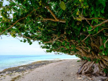 Taketomi Adası 'ndaki Kaiji Plajı
