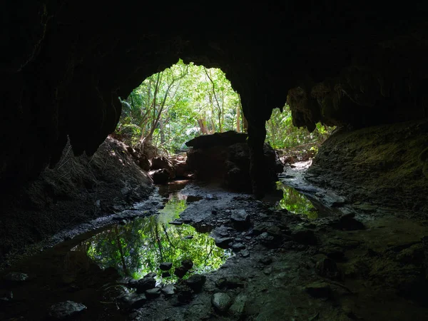 Grotte Calcaire Sur Île Iriomote — Photo