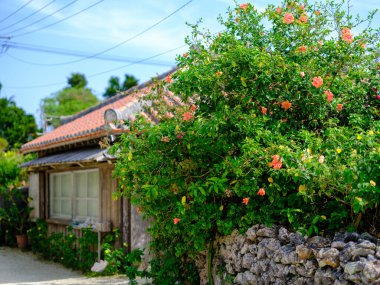 Taketomi Adası 'nın eski bir kasabası
