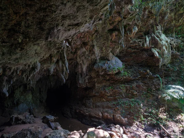 Kalksteinhöhle Auf Iriomote Insel — Stockfoto