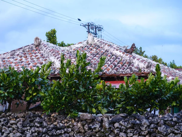 Rött Kaklat Tak Taketomi — Stockfoto