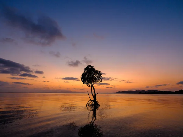Mangrowe Pętlowe Zachód Słońca Wyspie Ishigaki — Zdjęcie stockowe