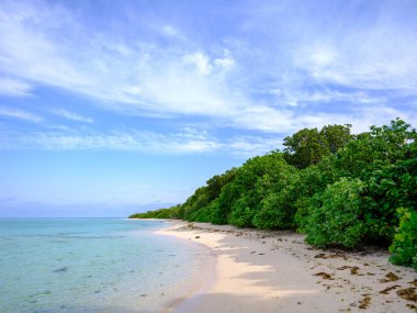 Taketomi Adası 'ndaki Kondoi Sahili