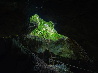 Ishigaki adasındaki orman ve kireç taşı mağarası.