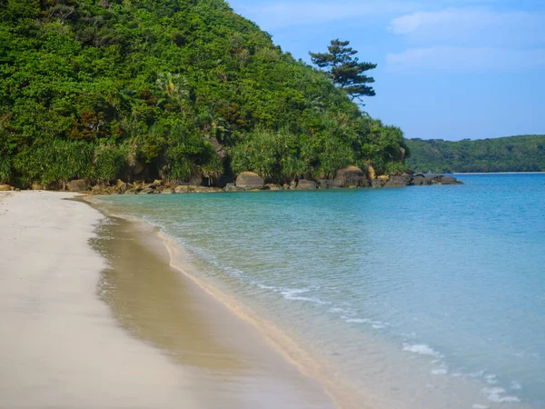 Ida Strand Iriomote Eiland Rechtenvrije Stockfoto's