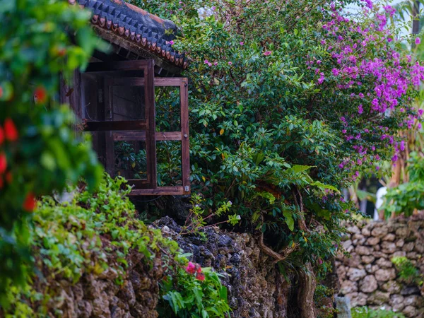 Gamla Stadsbilden Taketomi Island — Stockfoto