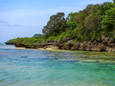 İriomote adasındaki hosizuna plajı.