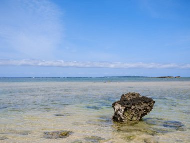 İriomote adasındaki hosizuna plajı.