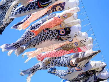 Japonya 'da sazan flaması