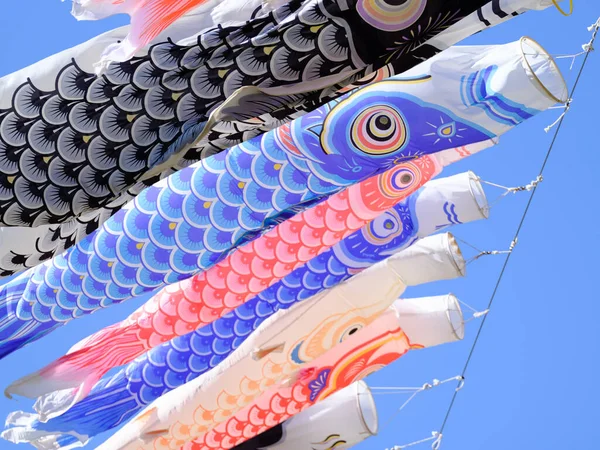 Carp Streamer May Japan — 스톡 사진