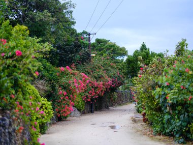 Taketomi Adası 'nın eski bir kasabası