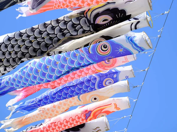 Carp Streamer Maj Japan — Stockfoto