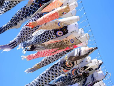 Japonya 'da sazan flaması