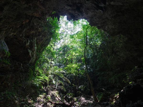 Cueva Piedra Caliza Isla Iriomote — Foto de Stock