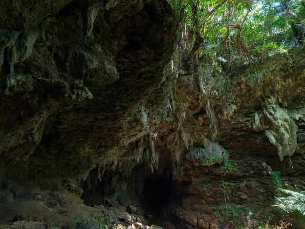 Grotte Calcaire Sur Île Iriomote — Photo