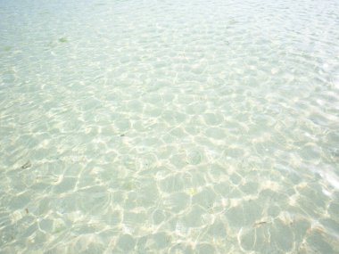 Yazın Okinawa 'nın şeffaf denizi