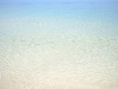 Yazın Okinawa 'nın şeffaf denizi