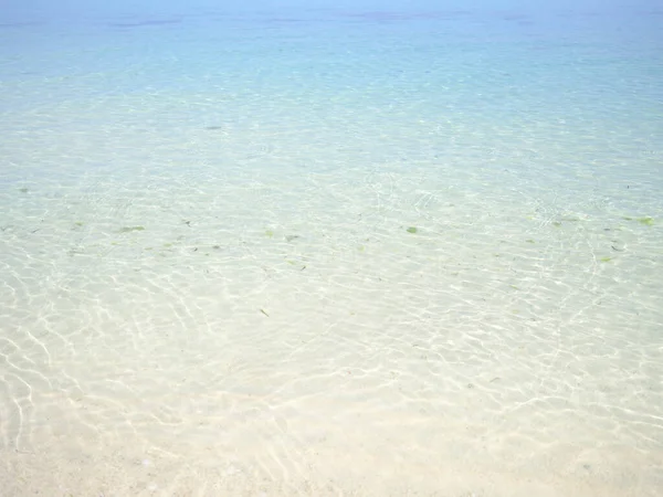 Yazın Okinawa 'nın şeffaf denizi