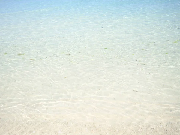 Mar Transparente Okinawa Verão — Fotografia de Stock