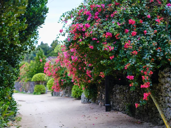 Taketomi Adası 'nın eski bir kasabası
