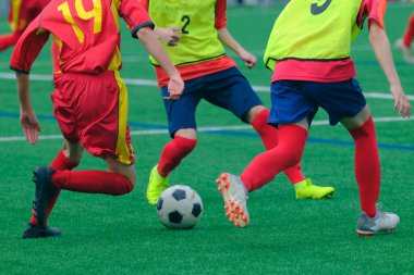 Hokkaido japan 'da futbol maçı
