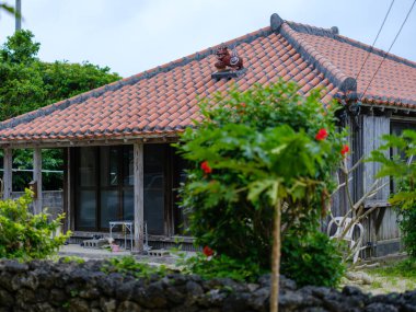 Taketomi Adası 'nın eski bir kasabası