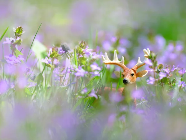 Figura Veado Flor Roxa — Fotografia de Stock