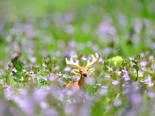 Figura Veado Flor Roxa — Fotografia de Stock