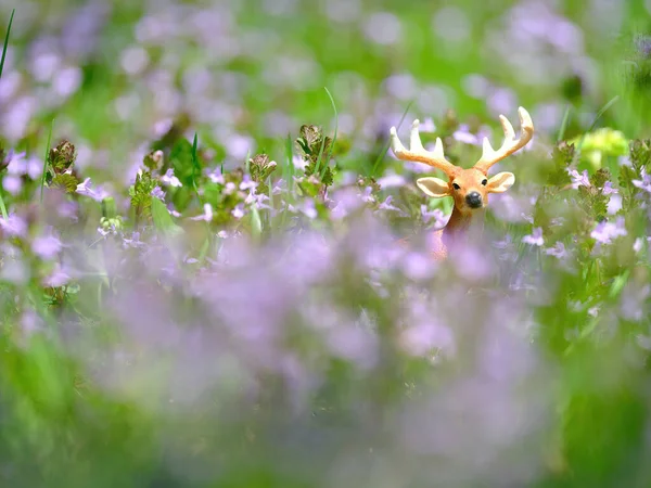 Figura Veado Flor Roxa — Fotografia de Stock