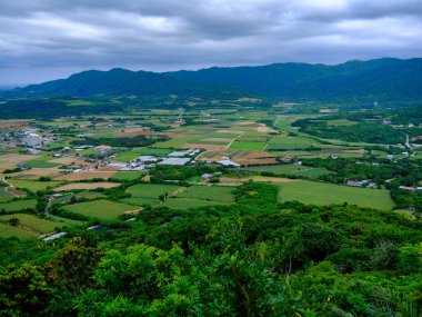 Ishigaki Adası 'nın kırsal bölgesi.