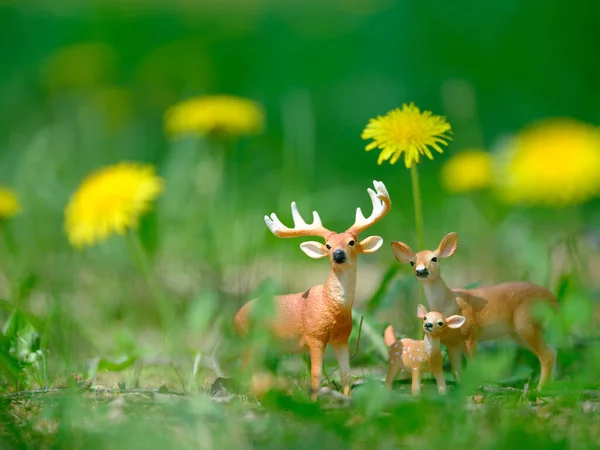 シュライヒによる鹿の家族図 — ストック写真