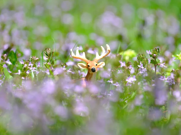 Figura Veado Flor Primavera — Fotografia de Stock