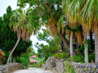 Taketomi Adası 'nın eski bir kasabası