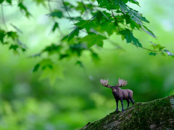 Floresta Verde Figura Alce — Fotografia de Stock