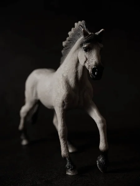 Figura Caballo Blanco Fondo Negro —  Fotos de Stock