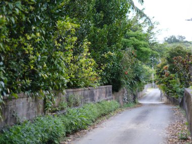 İriomote adasındaki sonai bölgesi.