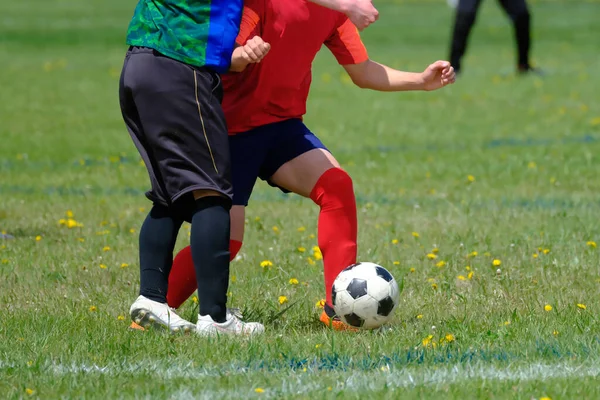 Hokkaido Japan Futbol Maçı — Stok fotoğraf