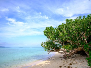 Taketomi Adası 'ndaki Kondoi Sahili